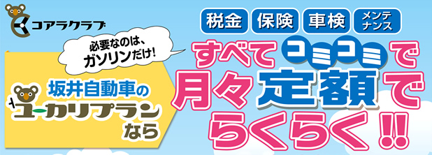 すべてコミコミで月々定額でらくらく!!